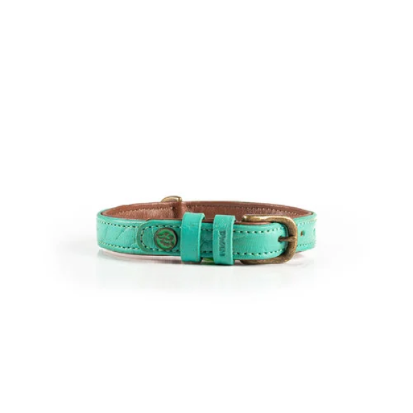 Dog with a Mission Halsband Janis